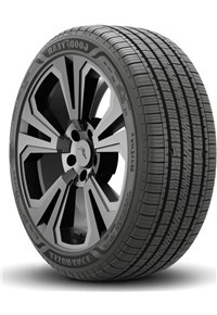 Goodyear ASSURANCE MAXLIFE 2 - 245/45-19 102V Tires | American